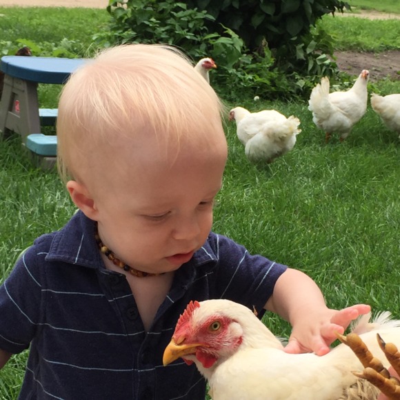 Meet your Posher, Jeannine - Picture 1 of 1